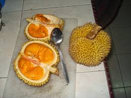 Buah yang hampir sama dengan durian tapi rasanya lebih manis dan bisa tumbuh sangat besar. Video Serupa Tapi Tak Sama Eh Buah Apa Tu Mynewshub