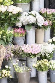 Spring Flowers In London Spring Flowers Lilac Flowers Bloom