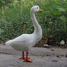 Pin On White Goose Model Goose Decor Simulation Goose Real Feather Gifts Room Ornament