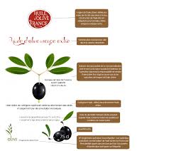Huiles Et Olives Read A Label Copy Huiles Et Olives