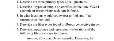 Cell junctions primarily act as communicators between cells. Describe The Three Primary Types Of Cell Junctions Chegg Com