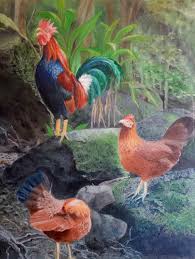 Norma Watt Art — Always Anthuriums