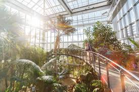 Liebe besucherinnen und besucher, herzlich willkommen im botanischen garten! Hochzeitsshooting In Den Gruson Gewachshausern Magdeburg Stefan Deutsch Fotograf Fur Hochzeit Business Event Und Presse