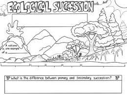 Ecological Succession Sketch Notes Diagram Sketch Notes Ecological Succession Science Lesson Plans Middle School