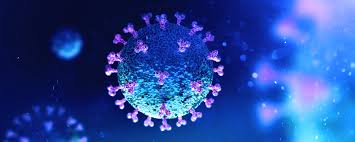 In a speech on monday, shadow cabinet office minister. Covid 19 Coronavirus Variant A Concern As Cases Spike In South Africa