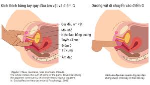 نقطة G - المكان السري للإثارة النسائية - كشف الشهوة