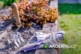 Are there cheaper methods than renting a dumpster? How To Get Rid Of Slugs Snails In The Garden All You Need To Know