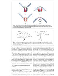 Combiner force robots in disguise. Https Pdfs Semanticscholar Org 0e50 80e83d707fe8c0a581f3f1f317c3f0d34a22 Pdf
