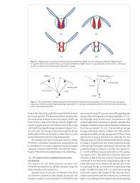 This can help it go smoother. Http Oa Upm Es 52685 1 Inve Mem 2017 283901 Pdf