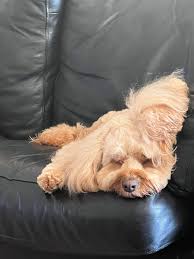 Is it Arthur who sits