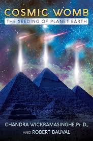 In english, many past and present participles of verbs can be used as adjectives. Cosmic Womb The Seeding Of Planet Earth Wickramasinghe Ph D Chandra Bauval Robert 9781591433071 Amazon Com Books