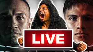 Toscano Boxing Gabriel " Maestro" Muratalla vs. Victor Torres