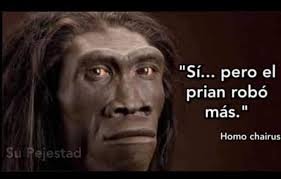 Los expertos explican: El “Anillo de Cenotes Chicxulub” en el estado de  #Yucatán, que se estima integra 900 cenotes distribuidos en 27 municipios  de esta misma entidad, es un área reconocida como #