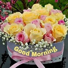 Image May Contain Flower Plant And Nature Good Morning Flowers Good Morning Tuesday Good Morning Picture