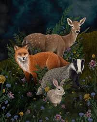 Rosie Dore Rosiedore Animals Animal Art Animal Illustration