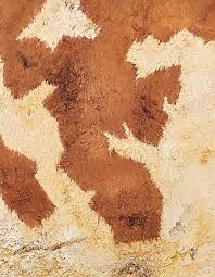 探索 名著 冰菓 阴阳师 的 激情 世界 成人 乐趣 等你 发现