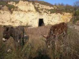 Hamangia este de tip neolitic mijlociu, respectiv mileniul vi. Pestera Idolilor Ganditori De La Hamangia Zace In Mizerie Si Uitare Dezvaluiri Ro