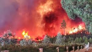 Maybe you would like to learn more about one of these? Incendio Florestal Atinge Portugal E Deixa 32 Pessoas Feridas Grupo Rio Claro Sp