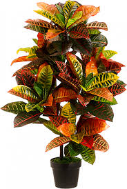Along with the relaxing, natural. 3 Foot Artificial Silk Croton Silk Plant