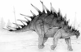 Maybe you would like to learn more about one of these? Body Shape Armoured Dinosaurs Natural History Museum