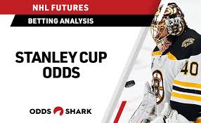 Image result for stanley cup 2019