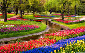 I never promised you a rose garden is an academy award nominated, 1977 american fantasy drama film based on joanne greenberg's 1964 novel of the same name. Spring Garden Wallpapers Top Free Spring Garden Backgrounds Wallpaperaccess