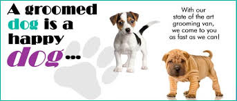 Most dog owners are encouraged to leave whatever they can. Tip To Toe Dog Grooming Posts Facebook