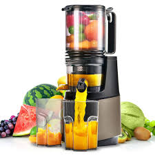 Cold Press Juicer