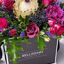 We did not find results for: Purple Flowers Bellissimo Flowers Flower Delivery Uk