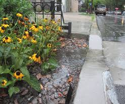This is a forum for people working or citizens interested in the field of stormwater, low impact development and green urban infrastructure. Stormwater And Green Infrastructure