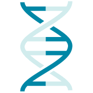 Key terms allele, dna profile, electrophoresis, flanking sequence, genetic fingerprint capillary electrophoresis is the standard technique in forensic analysis because of the speed and ease of answer key. Nucleic Acid And Plasmid Analysis