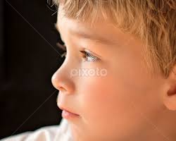 Stock Image Search Results