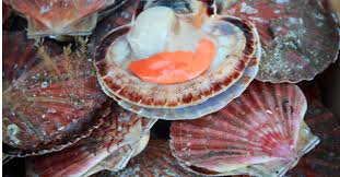 À l'international, la tendance est. Vrais Ou Faux Produits Du Terroir Les Coquilles Saint Jacques