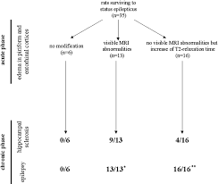 Seizures should be aggressively treated if they last longer than 5 minutes. Summary Of Results In Lithium Pilocarpine Model On P21 Rats Eight Download Scientific Diagram