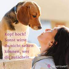 Die superlative periphrase der beste freund des menschen (oder des menschen bester freund) bezieht sich im allgemeinen auf den hund, speziell den haushund, ohne ihn explizit zu nennen. Spruche Fur Tierliebhaber Spruche Freunde Furs Leben Susse Texte Fur Den Freund