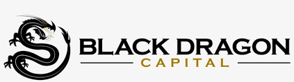 Balance assets that profit from secular growth (serpent) with those that profit from secular decline (hawk). Black Dragon Capital Inspired Entrepreneurs Building Graphics Free Transparent Png Download Pngkey