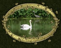 Swan S Sounds Of Salvation Swan Animation Beautiful Pictures