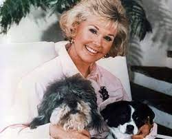 Doris Day Great Actress Singer Animal Lover Classic Movie Stars Dory Classic Hollywood