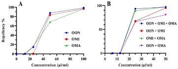 Image result for Ocimum minutiflorum