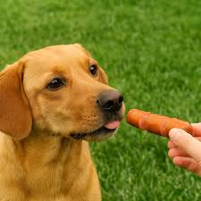 Can Dogs Eat Hot Dogs? Safety, Risks & Vet-Approved Tips