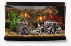 Asian themed fish tank decorations the asian theme is probably one of the most famous themes among fish enthusiast, probably because of how easy it is to get asian style fish tank decorations. Aquarium Fish Tank Png Image Aquarium Fish Tank Png Transparent Png 1242x1426 Free Download On Nicepng