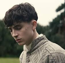 Pin By Felina On Timothee Timothee Chalamet Timmy T Hot Dudes