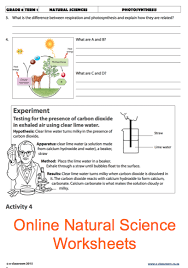 Grade 8 Online Natural Science Photosynthesis For More Worksheets Visit Www E Classroom Co Za School Worksheets Worksheets Photosynthesis