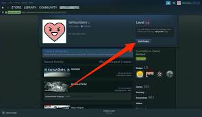 How to make your steam profile private. How To Change Your Steam Username In 4 Simple Steps