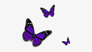 Butterfly icon, watercolor butterfly, blue and purple butterflies illustration, watercolor painting, blue png. Purple Butterfly Png Transparent Image Purple Butterfly Transparent Background 445x393 Png Download Pngkit