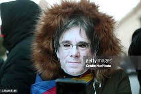 1,053 Rally Cat Stock Photos, High-Res Pictures, and Images