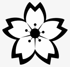 Ini postingan image sketsa bunga kamboja hitam putih yang dapat kami sajikan untuk anda. Gambar Bunga Sakura Hitam Putih Coloring Flowers Clip Art Black And White Transparent Png 612x588 Free Download On Nicepng