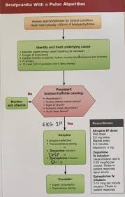 Acls Topic Wise Mcqs | Pdf | Cardiopulmonary Resuscitation | Myocardial  Infarction