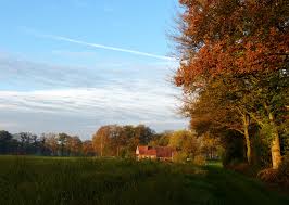 Wir bieten ihnen verschiedene stellplätze an. Wallpaper Autumn House Holland Fall Home Netherlands Rural Landscape Herfst Nederland Huis Achterhoek Winterswijk Landschap Gelderland Landelijk Woold Panasonicdmcfz150 1190016 4000x2852 659970 Hd Wallpapers Wallhere