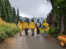 Press Releases and Reports